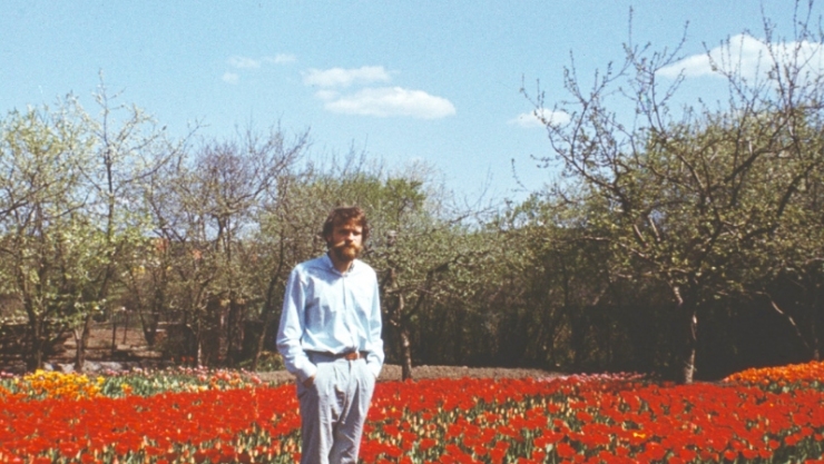 TULIP FIELD